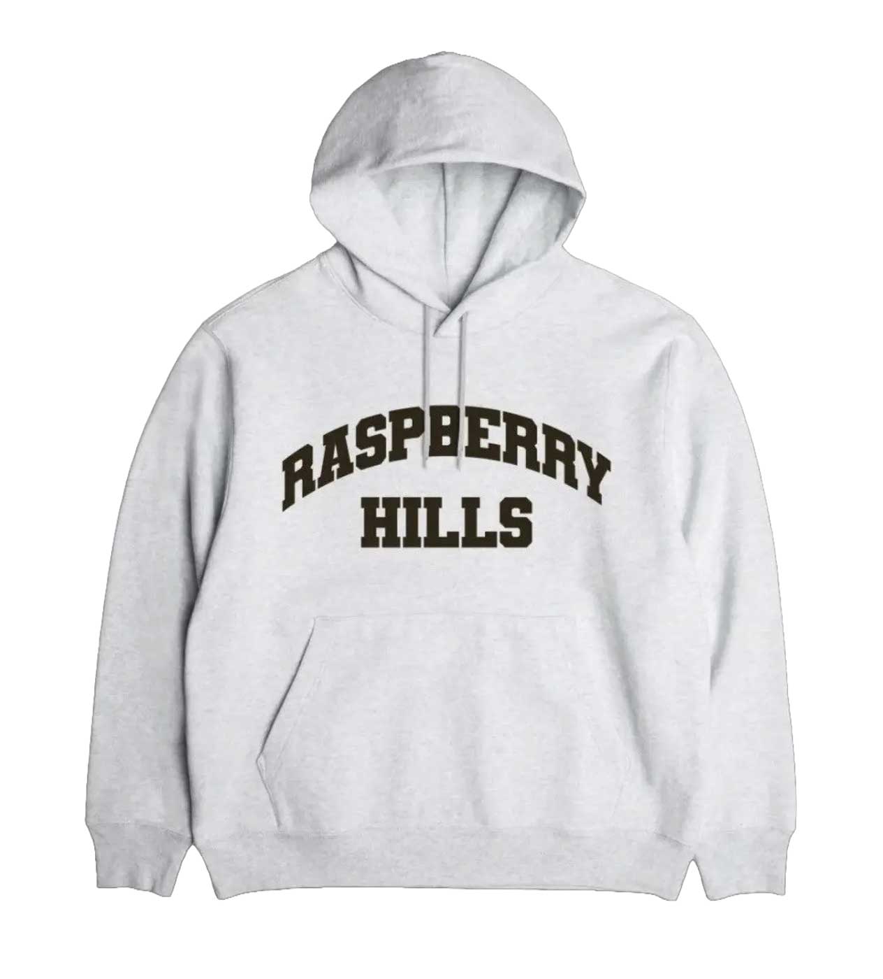 https://cdn.shopify.com/s/files/1/0741/8799/7502/files/GV-Gallery-OG-Hoodie-Grey.jpg?v=1767111979